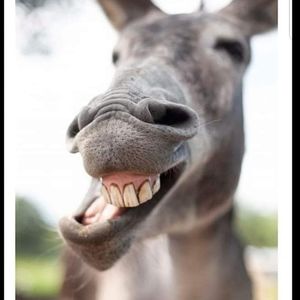 Meet your Posher, Lynn